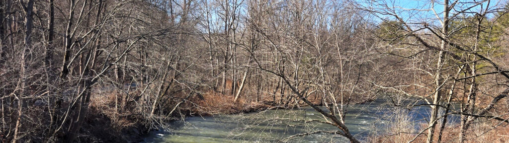 Photo of a river taken from a trail.