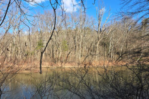 Photo of a river taken from a hiking trail.