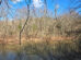 Photo of a river taken from a hiking trail.