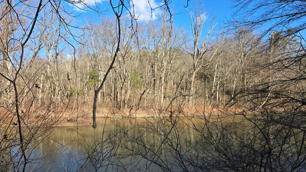 Photo of a river taken from a hiking trail.