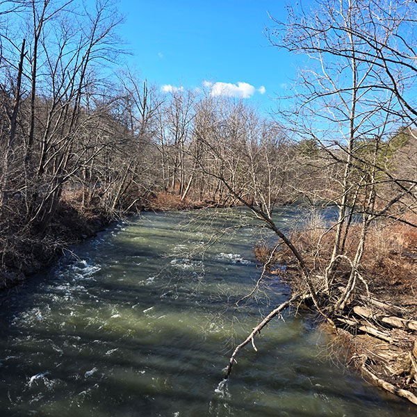 Photo of a river taken from a bridge.